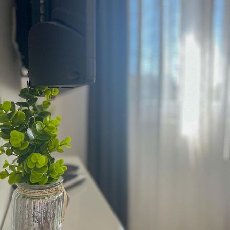 Apartman Ana, ザダル エクステリア 写真