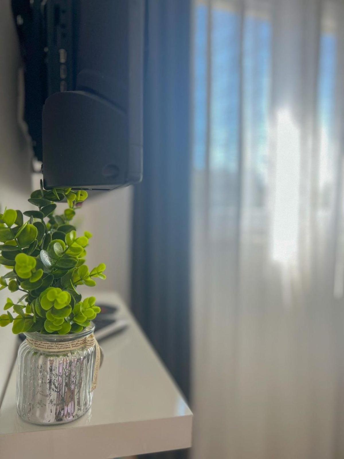 Apartman Ana, ザダル エクステリア 写真